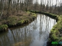 Rzeka Radomka - badania hydromorfologiczne i inwentaryzacja