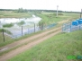 Rzeka Łasica - badania hydromorfologiczne i hydrobiologiczne